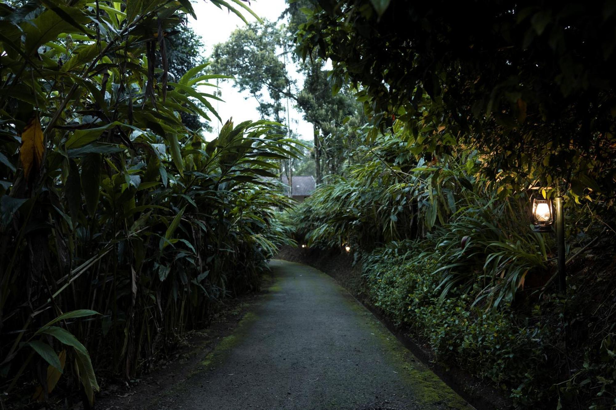 Carmelia Haven Resort Thekkady Exteriér fotografie