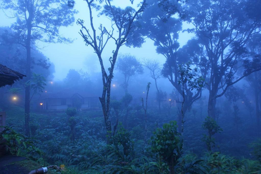 Carmelia Haven Resort Thekkady Exteriér fotografie