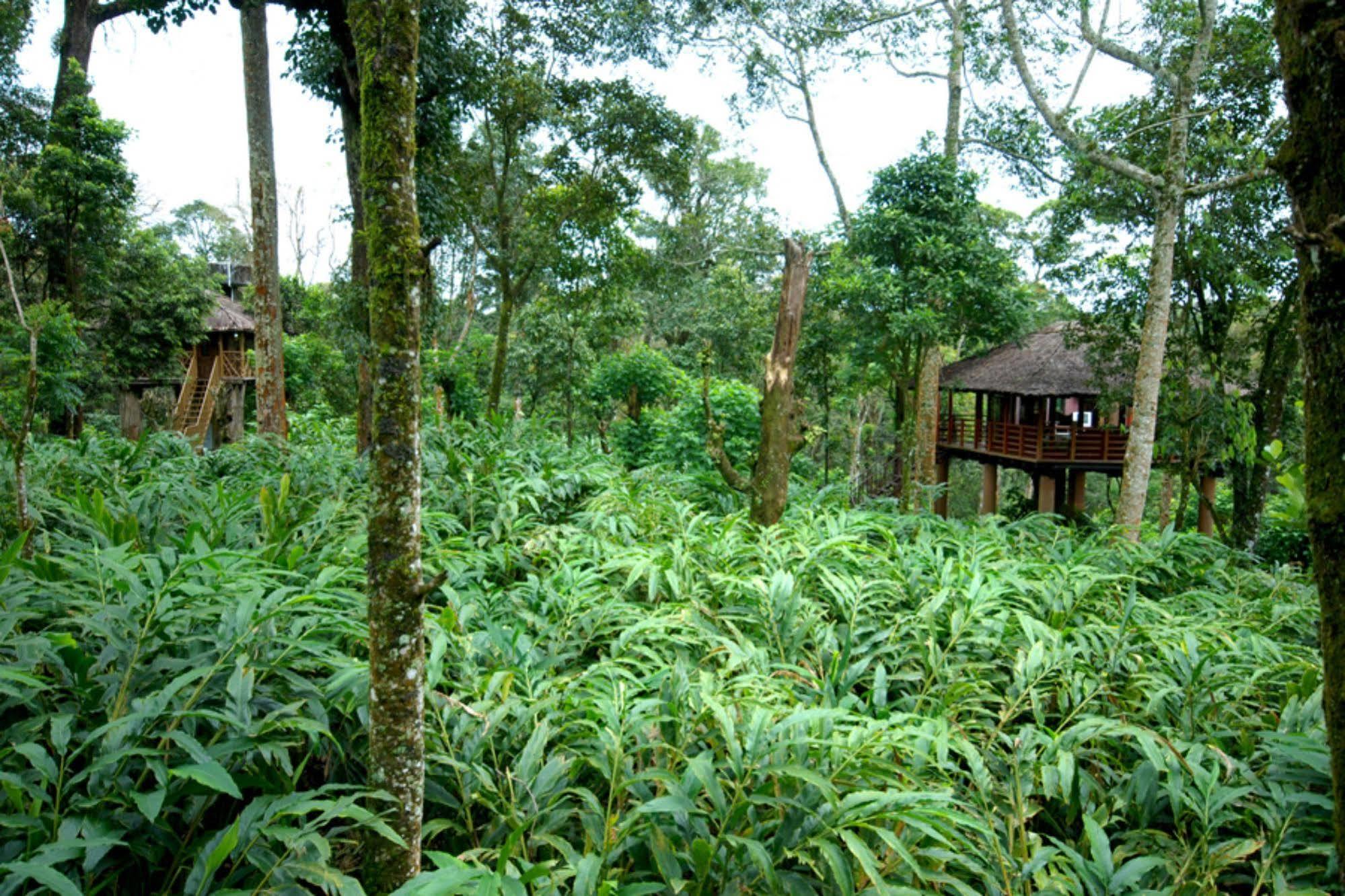 Carmelia Haven Resort Thekkady Exteriér fotografie