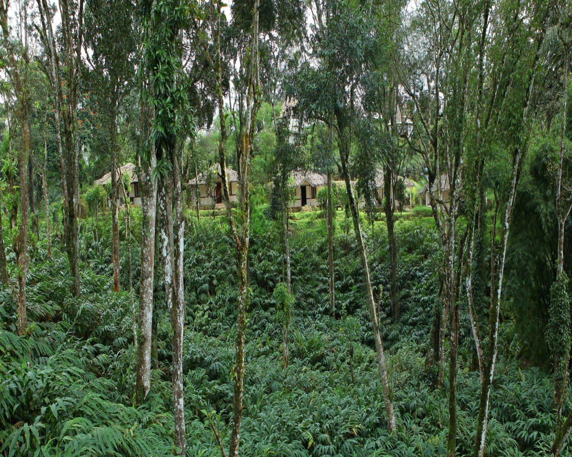 Carmelia Haven Resort Thekkady Exteriér fotografie